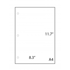 One Case: A4 – 8.3″ x 11.7″ (210mm x 297mm) 20# White - 8.3 x 11.7 White 92 Bright - SKU 348-A4 - 500 Sheets per case
