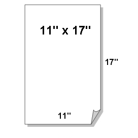 One Carton: 11″ x 17″ Green CFB Singles Nekoosa Universal for Digital ...